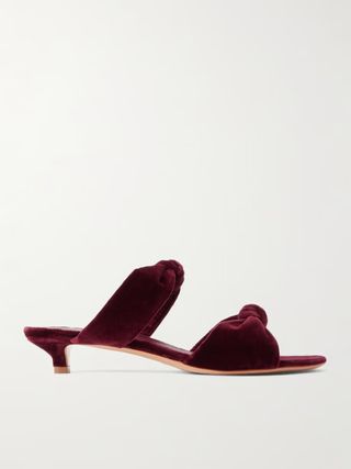 Le Monde Beryl + Knot Velvet Mules