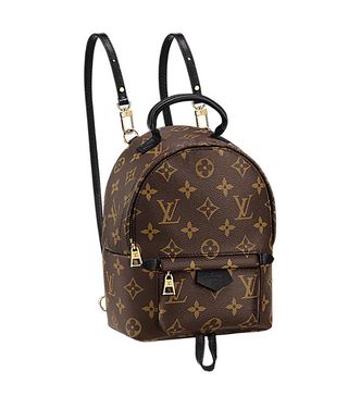 Louis Vuitton + Palm Springs Backpack Mini