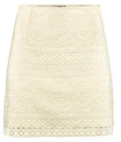 H&M + H&M Embroidered Skirt