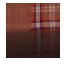 Echo + Echo Dip Dye Plaid Muffler