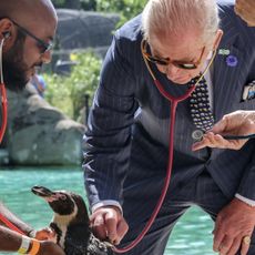 King Charles wears a suit to visit to ZSL London Zoo to celebrate the zoo's 200th anniversary in central London on July 9, 2026