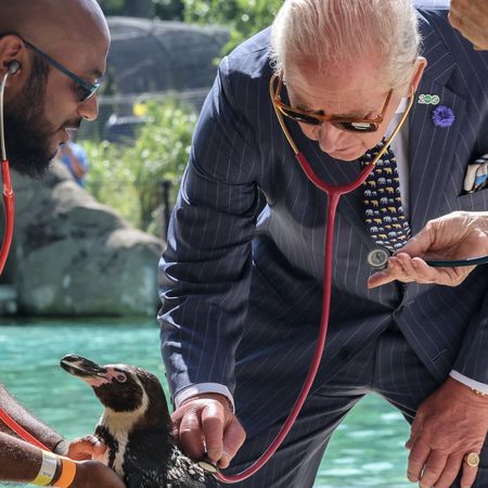 King Charles wears a suit to visit to ZSL London Zoo to celebrate the zoo's 200th anniversary in central London on July 9, 2026