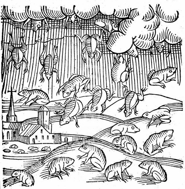 Raining Frogs & Fish A Whirlwind of Theories Live Science