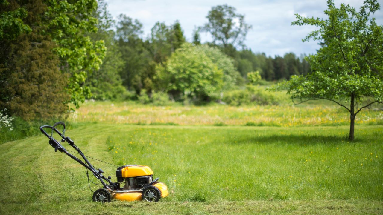 Yellow lawn mower next to a patch of grass