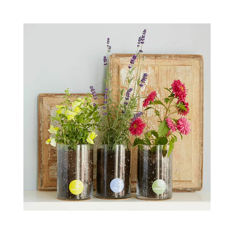 This diy birth month flower growing kit is one of the best 40th birthday gifts for her