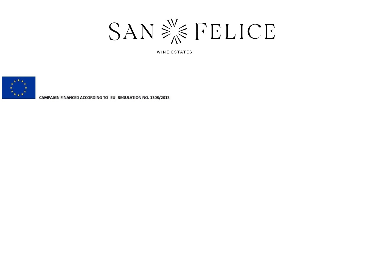 SanFelice_footer.jpg
