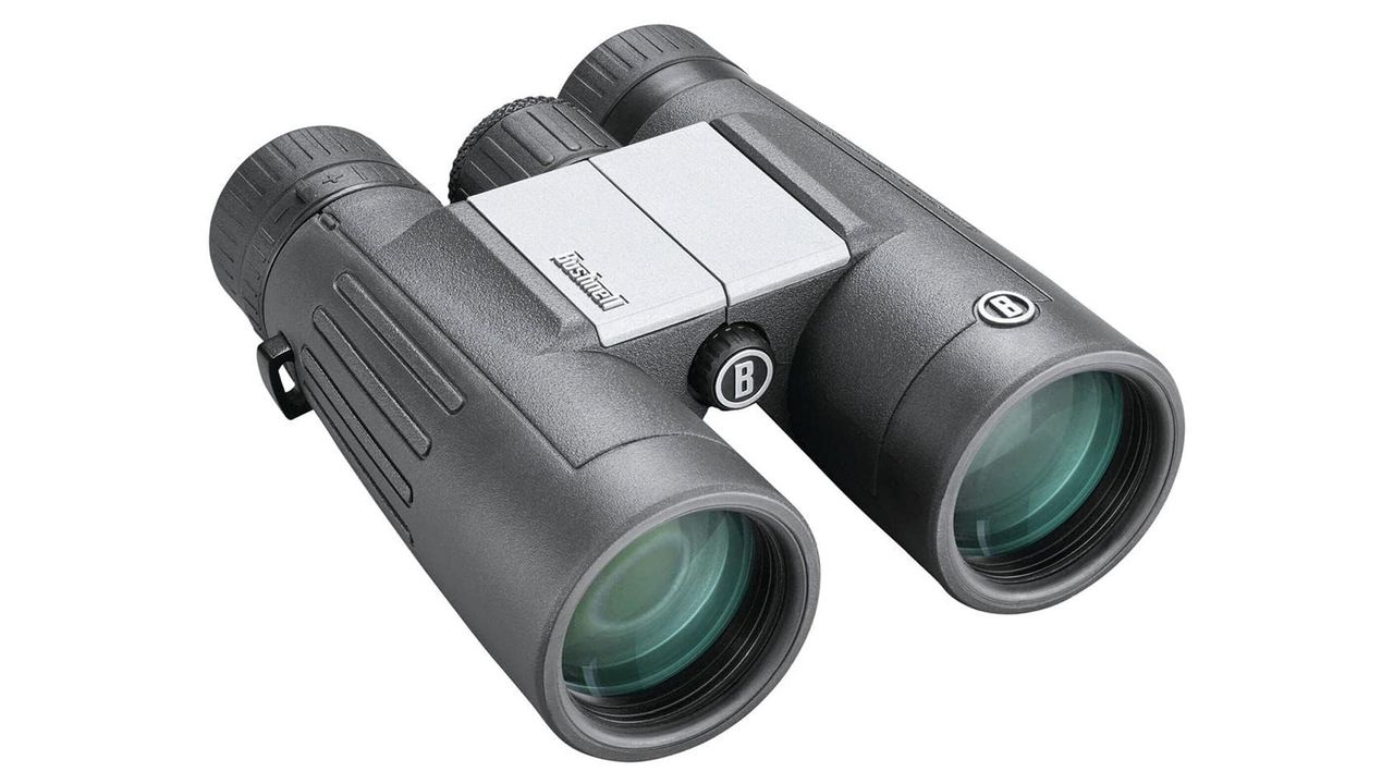 Bushnell PowerView 2 10x42 on a white background