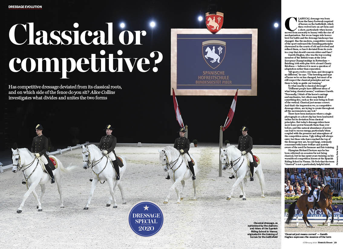 3pp DR special classical dressage