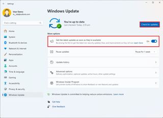 Windows 11 version 24H2 early download
