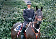 policehorse.jpg