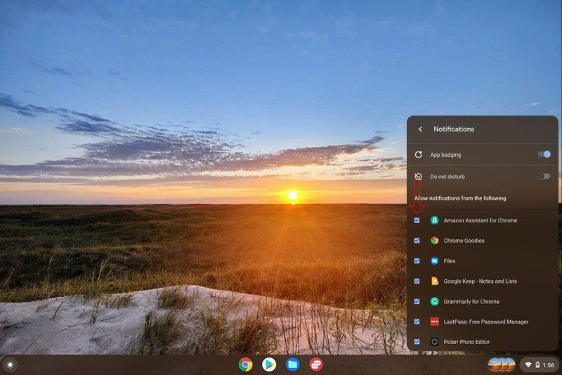 Chromebook Do Not Disturb