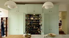 a mint green pantry cupboard open in a wood and white themed kitchen