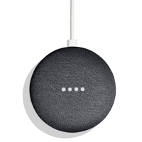 Google Nest Mini smart speaker