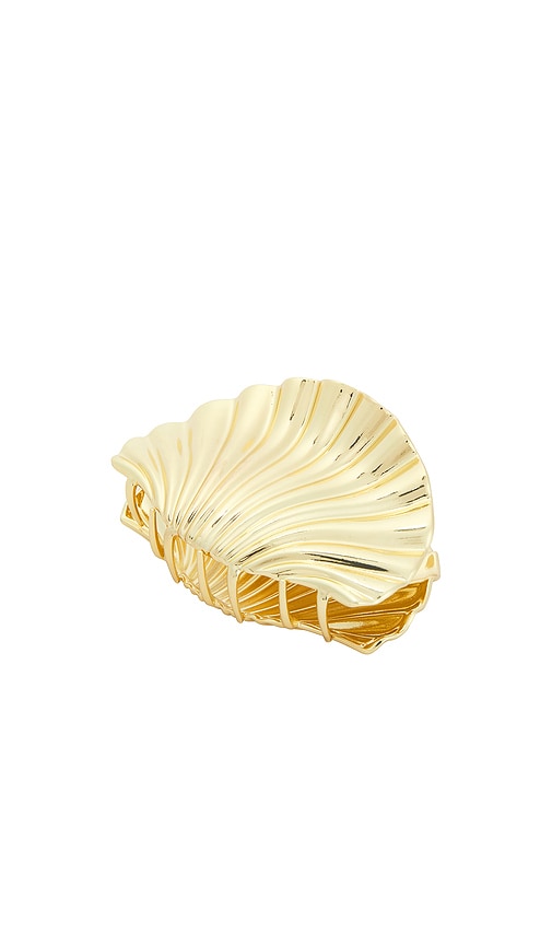 Scallop Shell Hair Clip
