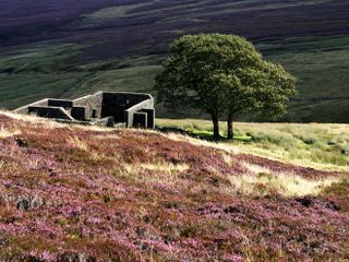 Top Withens on Haworth Moor in Summer near Haworth West Yorkshire England