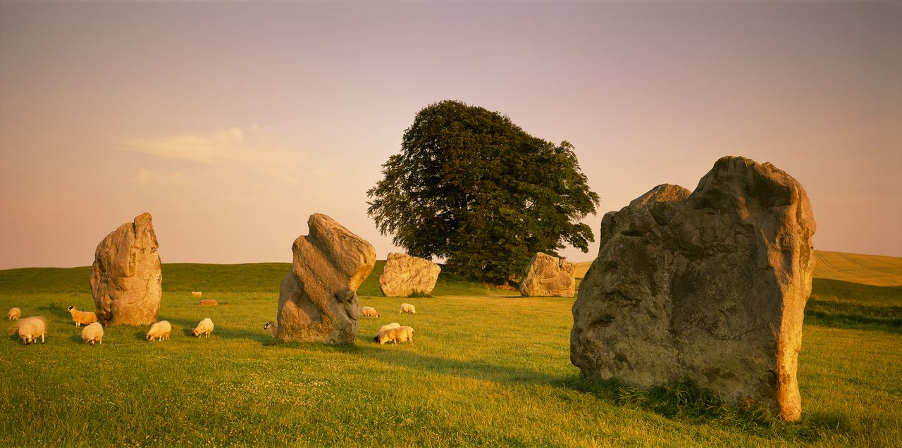 A sunset image of Avebury stone circles with sheep around them