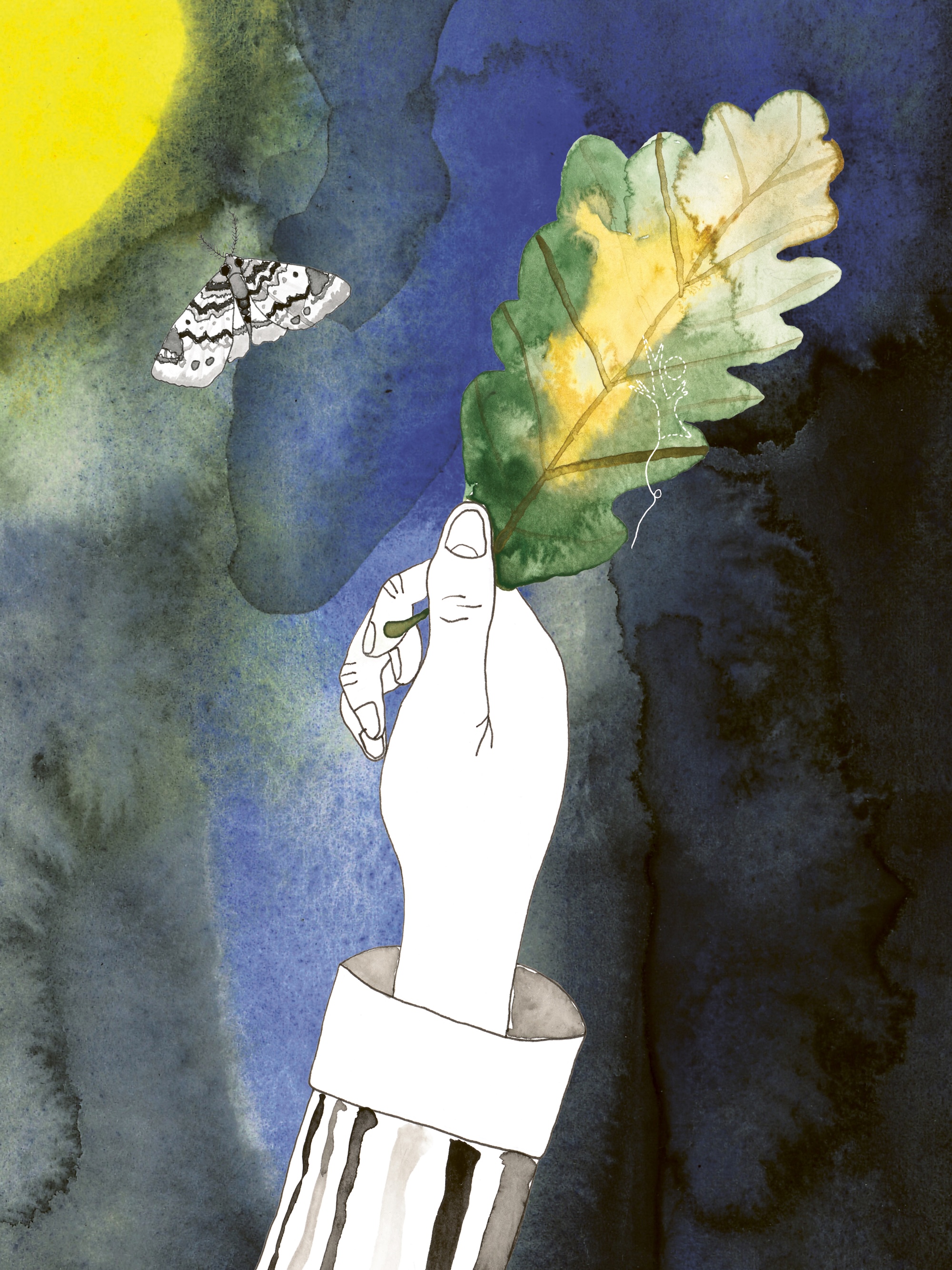 oralee clare crespo book