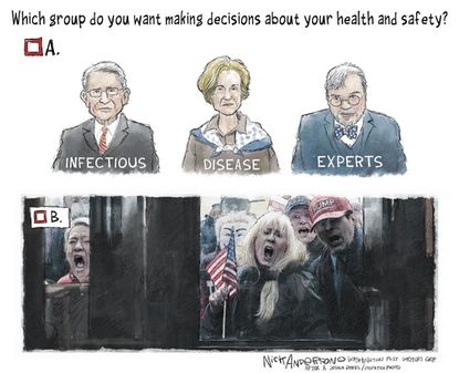 Political Cartoon U.S. check group identification health experts or stay at home protesters
