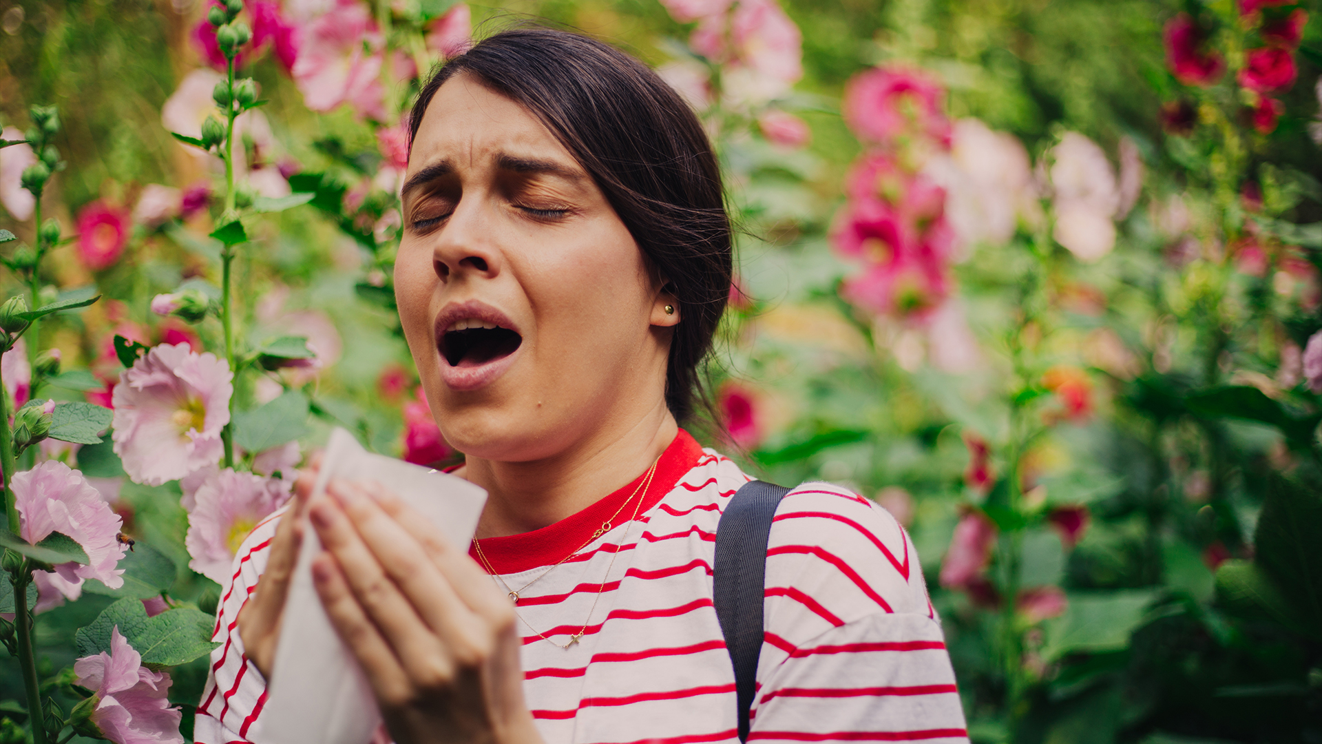 What do some allergies last a lifetime? Newly described immune cells to blame