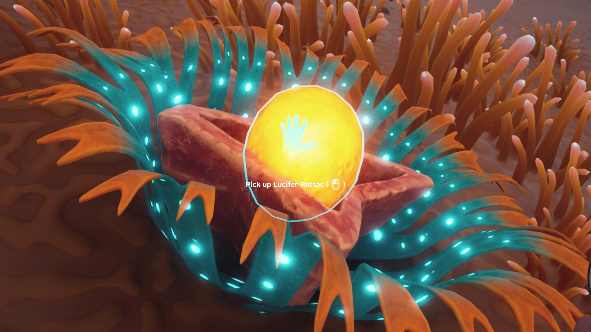 A Subnautica 2 Lucifer Rotsac nestled in Cradle Shootroot. 