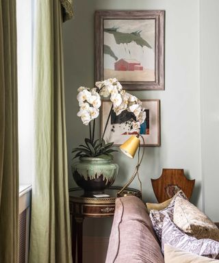 potted white orchid on side table in living room