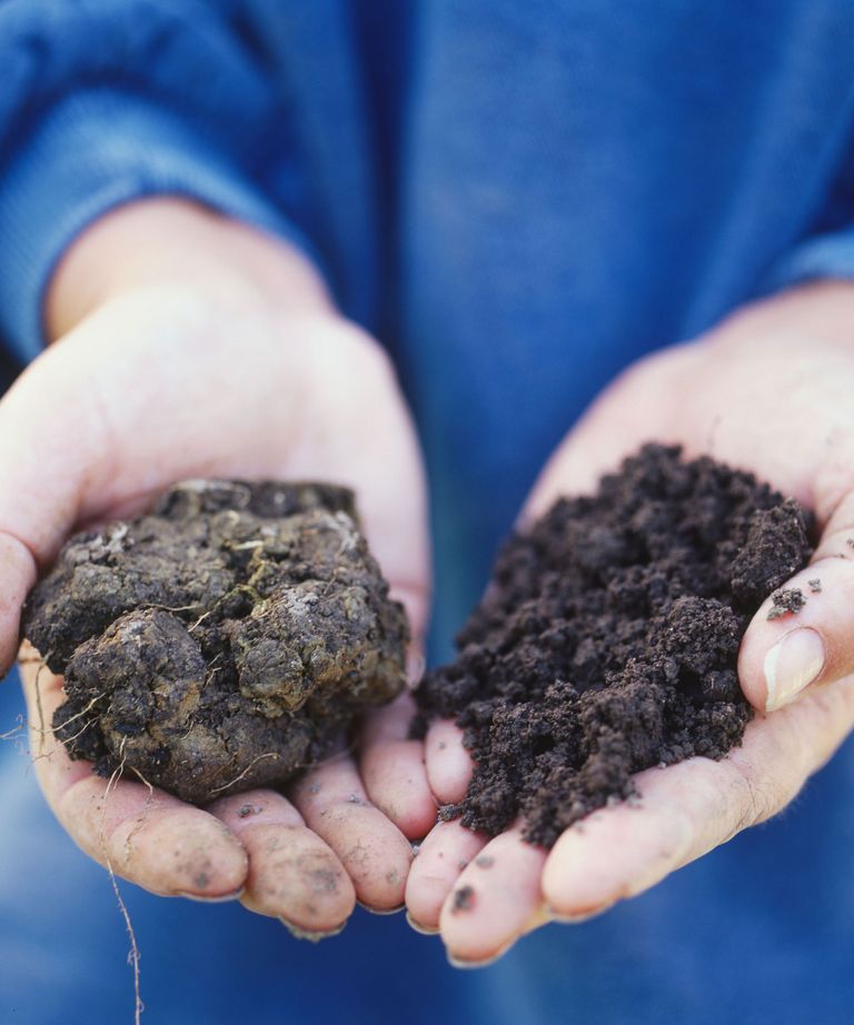 Soil types the ultimate guide for gardening success Homes & Gardens