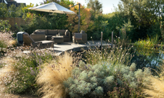 A natural garden swimming pond with chairs and sun loungers to the side on a wooden deck