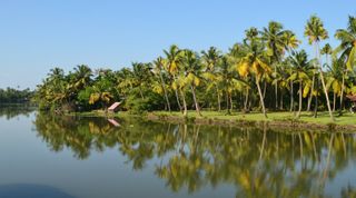 The backwaters of Kerala. Image: CC0 Creative Commons