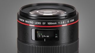 The top of the EF 100mm f/2.8 Macro USM lens on a grey background