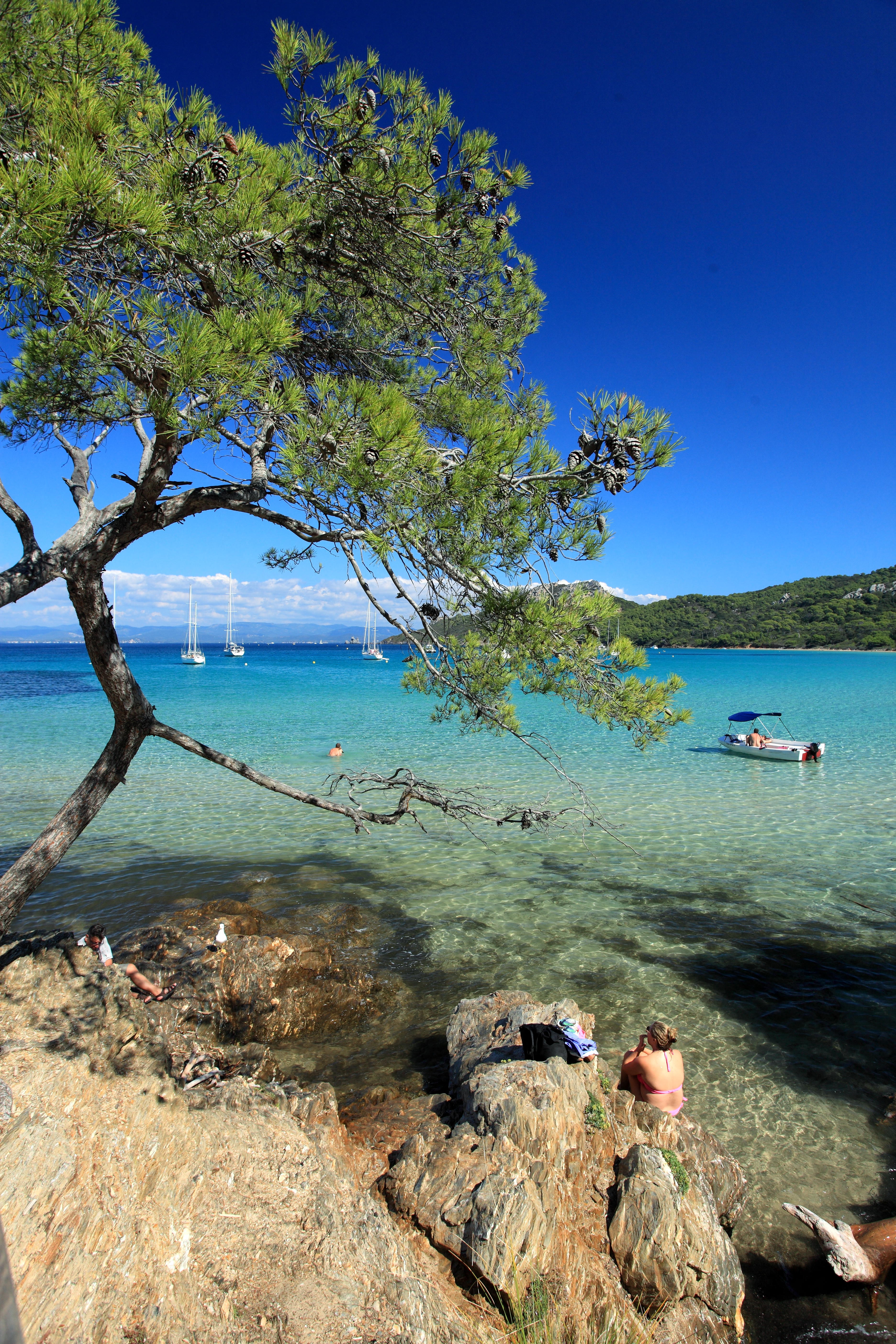 Woman sitting in the shallow of an unspoilt beach with a single tree in the foreground