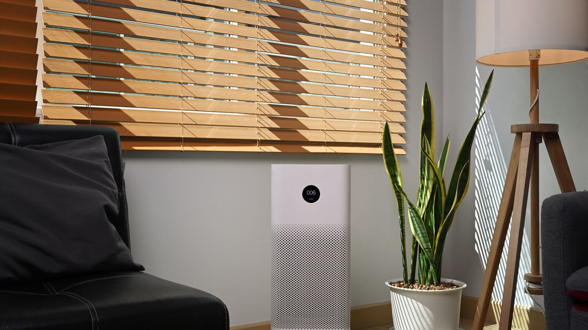 Best Air Purifiers 2024 | Live Science