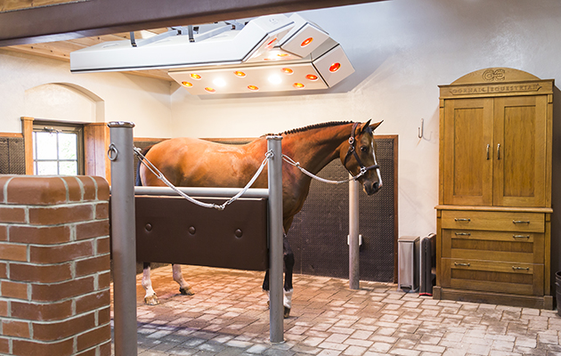The solarium