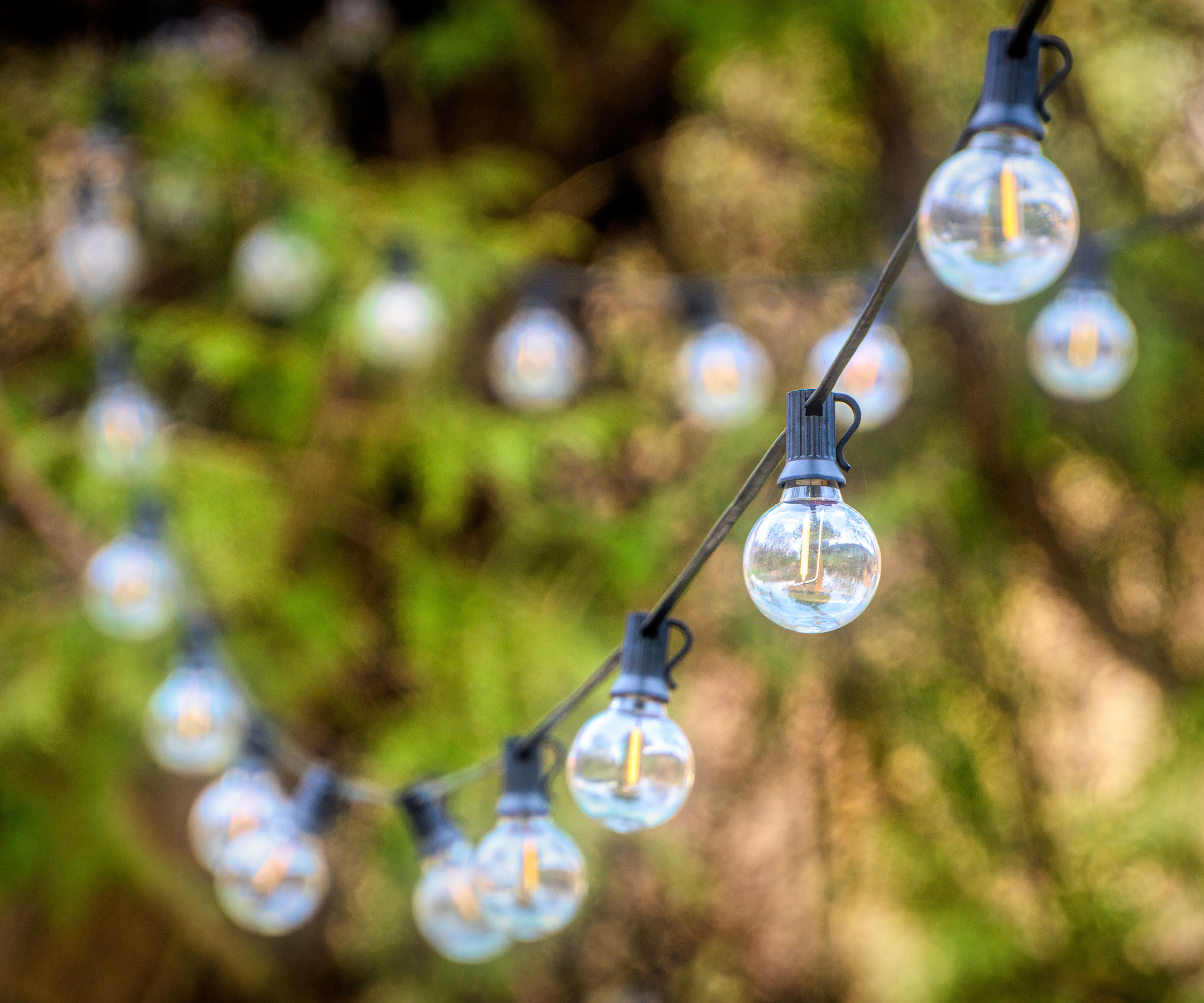 garden lighting showing cool color lightbulbs