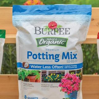 Burpee Natural Organic Premium Growing Mix