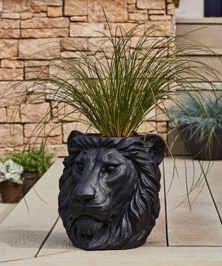 Black lion planter