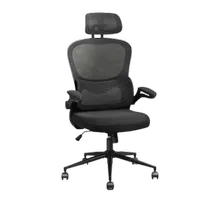Flexispot OC4 Lite