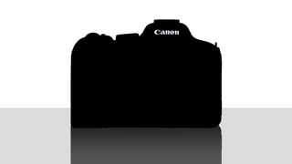 Silhouette of a mystery Canon camera, against a white background on a reflective grey surface