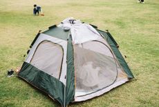 Best backyard tent