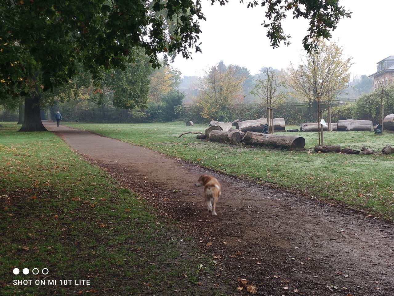 Xiaomi Mi 10T Lite camera sample