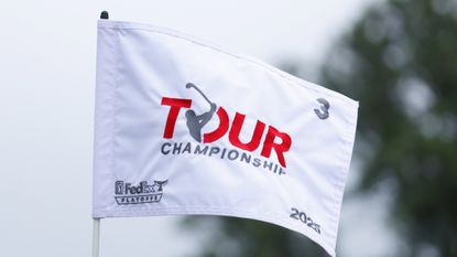 The Tour Championship flag at East Lake