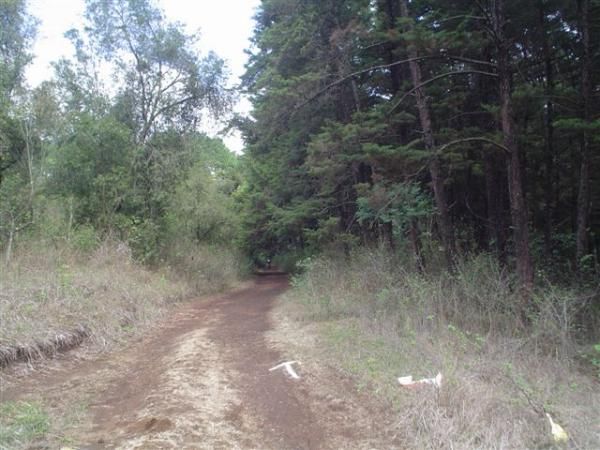 The course just before it dives back into the woods.