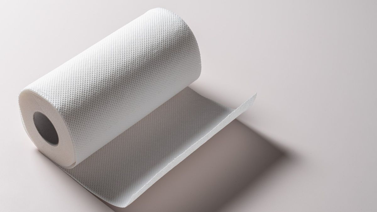 This genius TikTok paper towel hack will double your roll Woman & Home