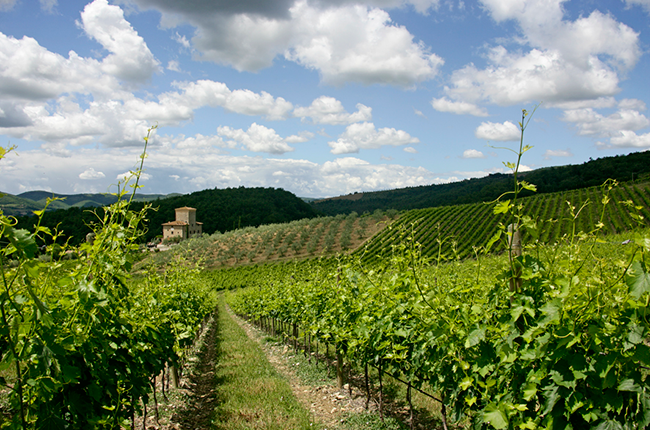 Castello di Albola Oblix