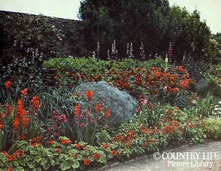 Gertrude Jekyll's garden at Munstead Wood - photographed in 1912 (©Country Life Picture Library)