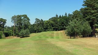 Farnham Golf Club - Hole 9