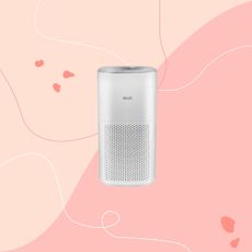 levoit core 600s on a pink graphic background 2000 x 2000