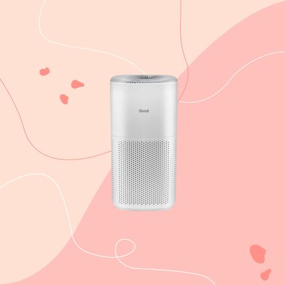 levoit core 600s on a pink graphic background 2000 x 2000