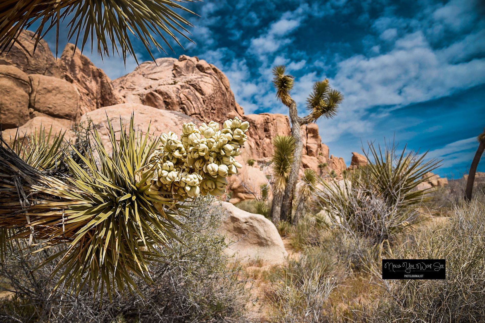 GuruShots - Nature March 2026