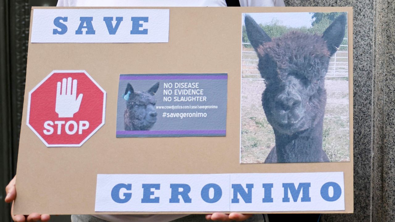 A woman holds a sign that reads &amp;#039;Save Geronimo&amp;#039;