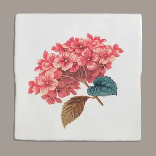 Ca'Pietra, Studio Divine Savages the Brambles Collection